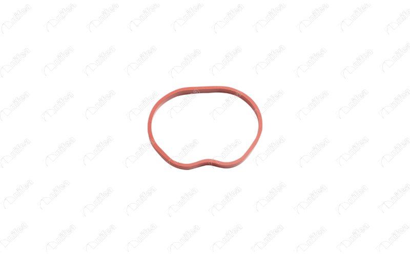 NIFEA 19779 Emme Manifold Contasi C-Max - Fiesta - Focus - Fusion - Mazda 2 - Volvo C30 - S40 - V50